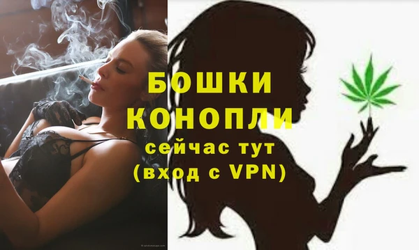 ALPHA PVP Медвежьегорск