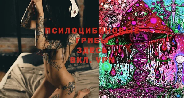 ALPHA PVP Медвежьегорск