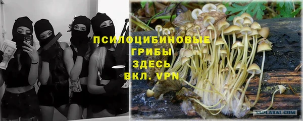 меф Гатчина
