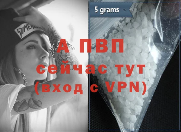 ECSTASY Мегион