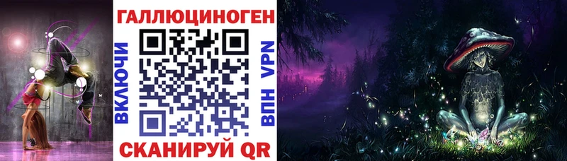 наркотики  Дорогобуж  Псилоцибиновые грибы Psilocybe 